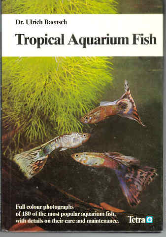 TROPICAL AQUARIUM FISH 