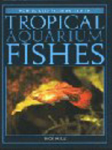 Tropical Aquarium Fishes: How to Keep Freshwater Fish