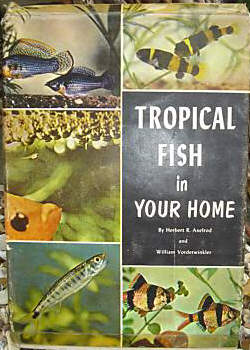 TROPICAL FISH IN YOUR HOME by Axelrod and Vorderwinkler