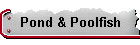 Pond & Poolfish