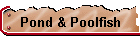 Ponds, pools etc
