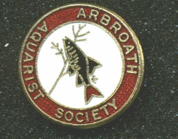 Arbroath Fish club badge