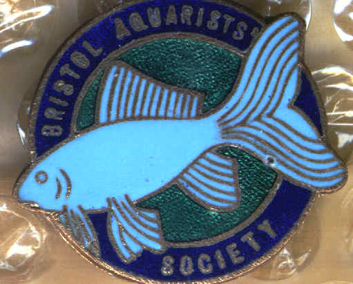 Bristol Aquarium Society