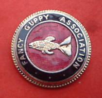 Fancy Guppy Association Standards Badge