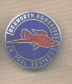 Bedworth fish club badge