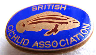 British Cichlid Association