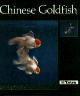 Chinese Goldfish