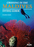 Maldives diving