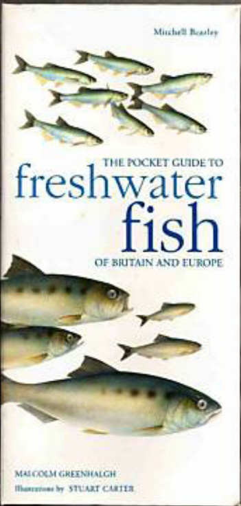 THE POCKET GUIDE TO FRESHWATER FISH OF BRITAIN AND EUROPE