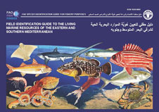 Field Identification Guide to the living marine resources of the Eastern and Southern Mediterranean