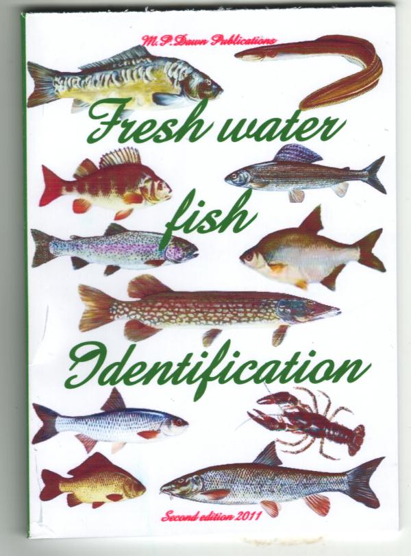 FRESHWATER FISH IDENTIFICATION