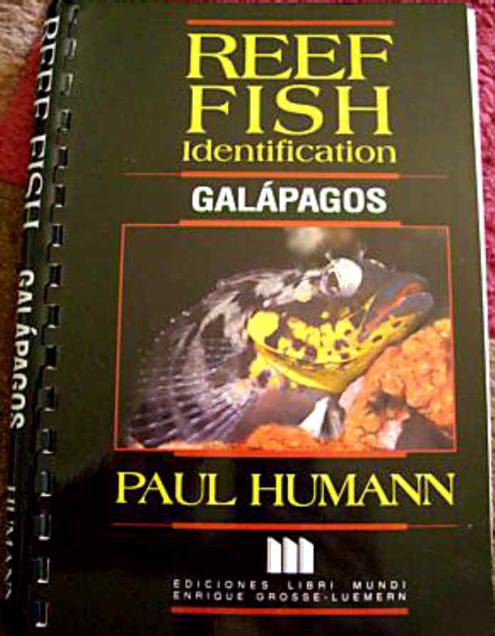 REEF FISH IDENTIFICATION - GALAPAGOS
