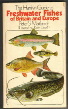 THE HAMLYN GUIDE TO THE FRESHWATER FISHES OF BRITAIN AND EUROPE  by Peter Maitland