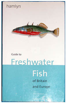 THE HAMLYN GUIDE TO THE FRESHWATER FISHES OF BRITAIN AND EUROPE  by Peter Maitland 
