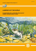 Lampreys and Hagfish