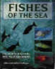 Fishes of the sea by Lithgoe. British sea fish identification guide
