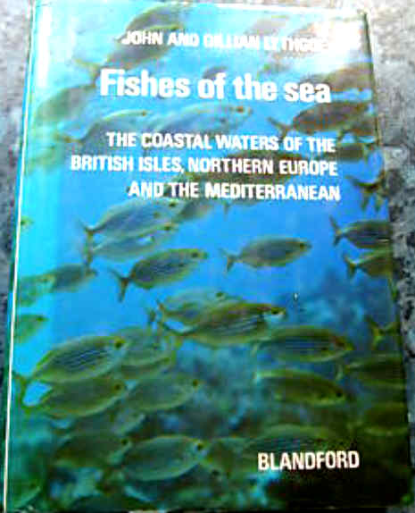 FISHES OF THE SEA