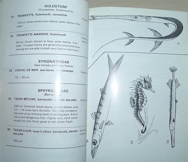 Sea-Fishes of Mauritius