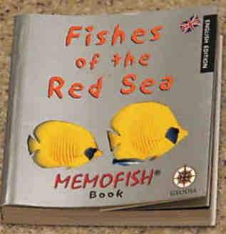 Fished of the Red Sea Identification guide and book