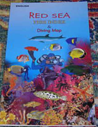 RED SEA REEF FISHES