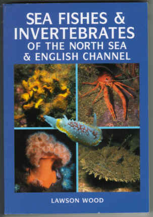 SEA FISHES AND INVERTEBRATES OF THE NORTH SEA AND ENGLISH CHANNEL
