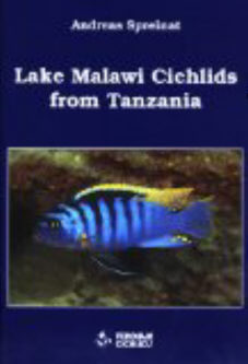 Lake Malawi cichlids from Tanzania