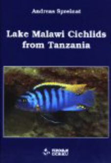 Lake Malawi Cichlids