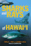 Hawaiis Sharks and Rays