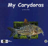  My Corydoras by Frank Schafer