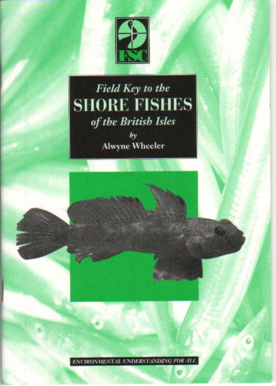 FIELD KEY TO THE SHORE FISHES OF THE BRITISH ISLES  