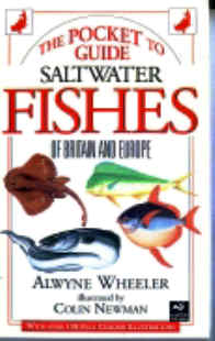 Saltwater Fishes by Alwyne Wheeler