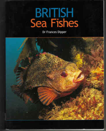 British Sea Fishes  