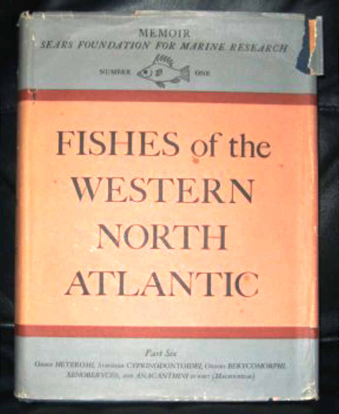 FISHES OF THE WESTERN NORTH ATLANTIC - PART ONE TO SIX 