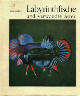 Labyrinthfische und verwandte Arten