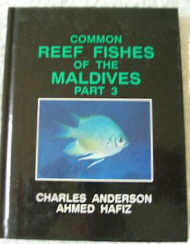 Common Reef Fishes of the Maldives. Part Three.
