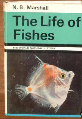 The Life of Fishes  