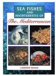 Sea Fishes of the Mediterranean Including Marine Invertebrates 