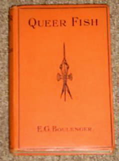 QUEER FISH  by F.G.Boulenger