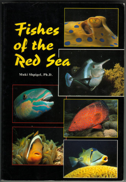 FISH OF THE RED SEA