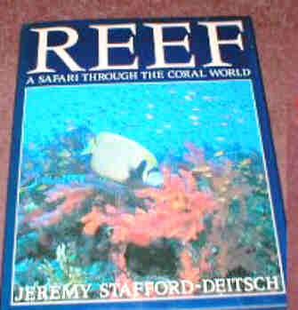 REEF- A SAFARI THROUGH THE CORAL WORLD 