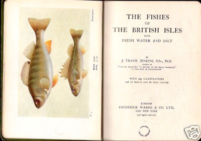 THE FISHES OF THE BRITISH ISLES BOTH FRESHWATER AND SALT 