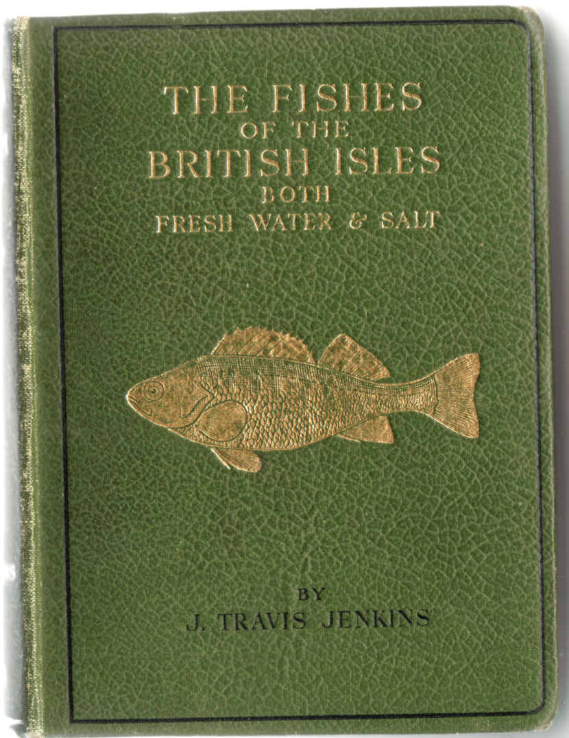 THE FISHES OF THE BRITISH ISLES BOTH FRESHWATER AND SALT 