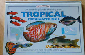 AN ESSENTIAL GUIDE TO CHOOSING YOUR TROPICAL FRESHWATER FISHES