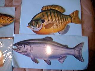 Sunfish or Bass greetings card