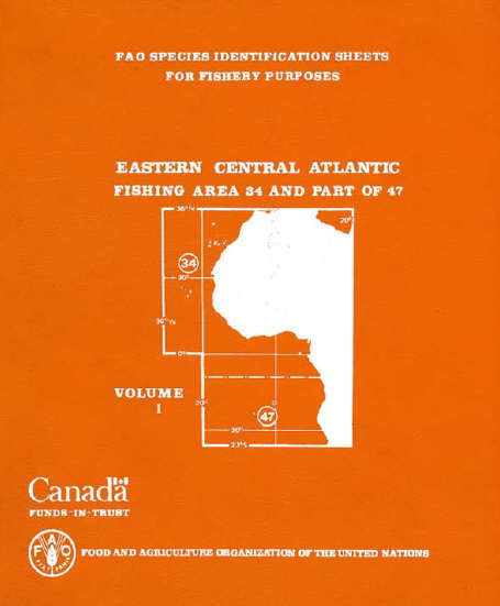 The Sea Fishes of the Eastern Central Atlantic and West Africa. Morocco to Namibia. Taxonomic Classification.  