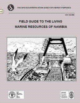 Field Guide to the Living Marine Resources of Namibia.