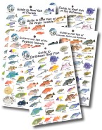 The Caribbean Collection of Reef Fish Guides 