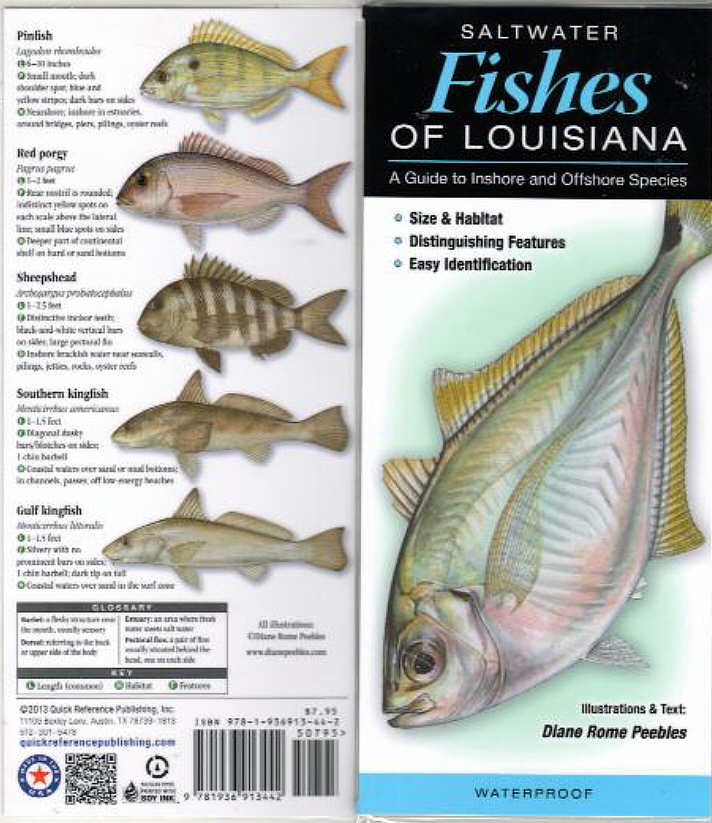 Florida Saltwater Fish ID Book