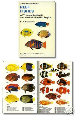 A Field Guide to the Reef Fishes of TropIcal Australia and the Indo-Pacific Region by R. H. Carcasson. 