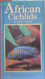 African Cichlids  